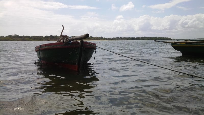 Navigation Techniques